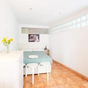 https://apartamento-perfecto-para-tu-estadia-en-bcn.catalonia-hotels.com